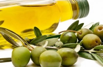 Curso de verano sobre aceite de oliva - Sede universitaria Cocentaina